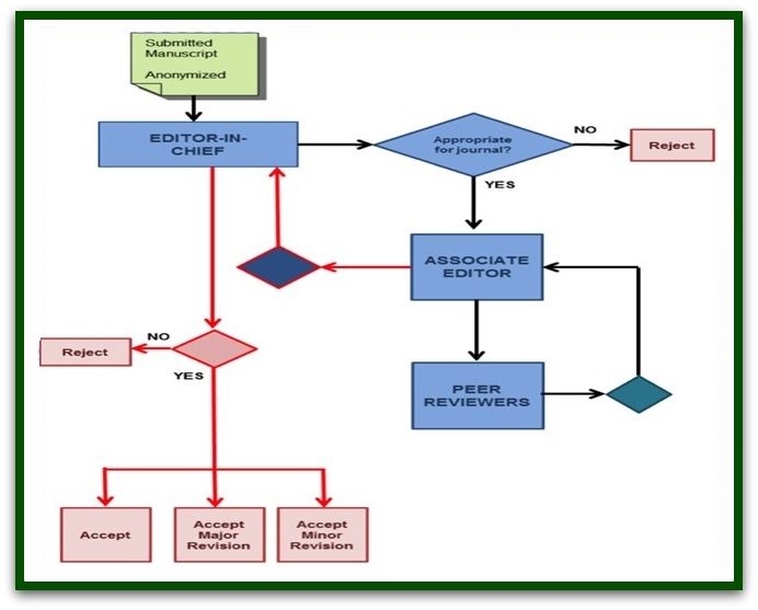 IJCRCPS:Guidelines